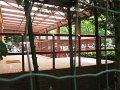 IMG_3148