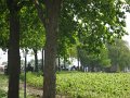 IMG_3186