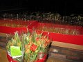 IMG_8163