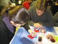 IMG_8236