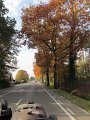 IMG_6710