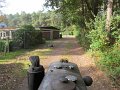 IMG_6753
