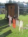 IMG_6775