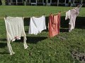 IMG_6776