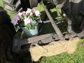 IMG_6785