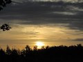 IMG_6455