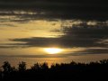 IMG_6461