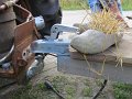 IMG_6472