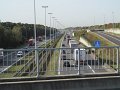 IMG_6499