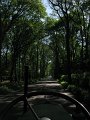 IMG_4052