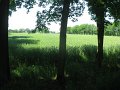 IMG_4083