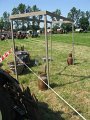IMG_4122
