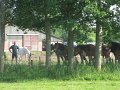 IMG_4169