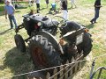 IMG_4183