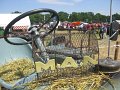 IMG_4252