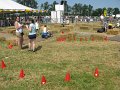 IMG_4352