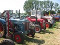IMG_4421
