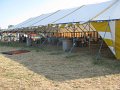 IMG_4498