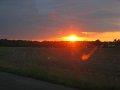 IMG_4513