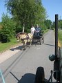 IMG_4552