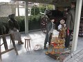 IMG_0812