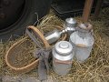 IMG_0880