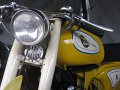 IMG_0929