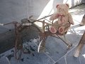 IMG_0939