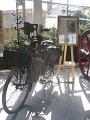 IMG_0942