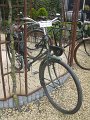 IMG_0967