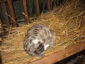 IMG_1063