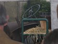 IMG_1255
