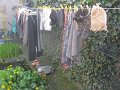 IMG_1271