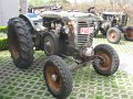 IMG_1353