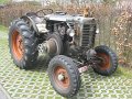 IMG_1354