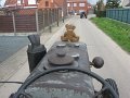 IMG_1361