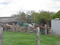 IMG_1371