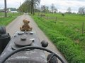 IMG_1372