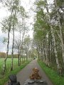 IMG_1381