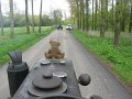 IMG_1387