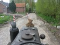 IMG_1391