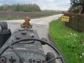 IMG_1394