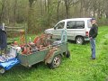 IMG_1517