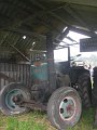 IMG_1585