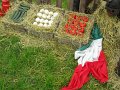 IMG_1621