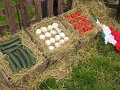 IMG_1685