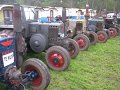 IMG_1890