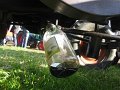 IMG_2260