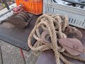 IMG_1793