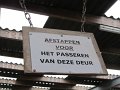 IMG_1880